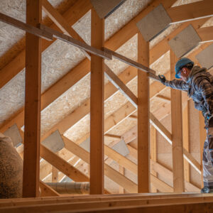 Wind Mitigation Inspection